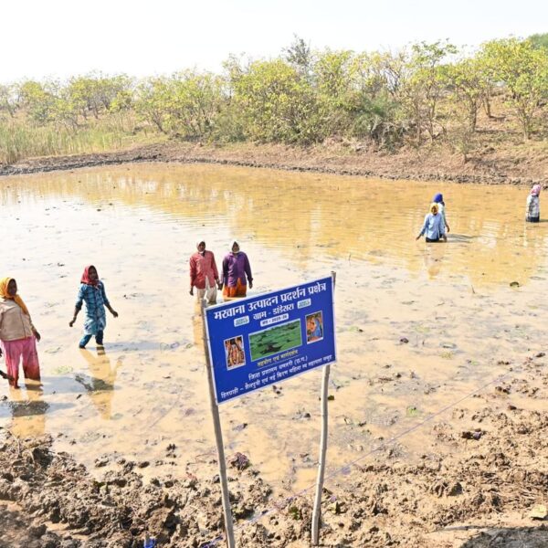 अंतर्राष्ट्रीय महिला दिवस: स्व-सहायता समूहों के माध्यम से आत्मनिर्भर बन रहीं धमतरी जिले की महिलाएं…