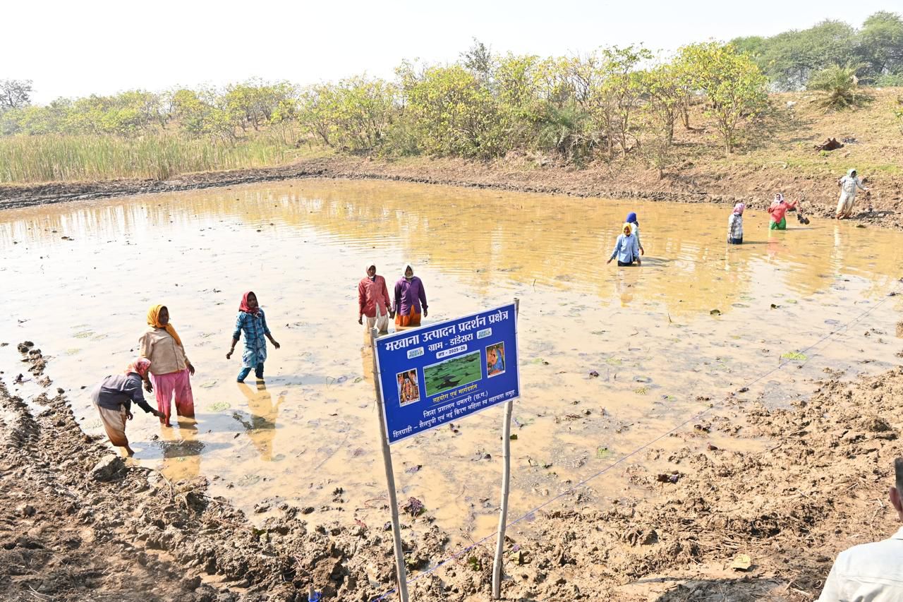 अंतर्राष्ट्रीय महिला दिवस: स्व-सहायता समूहों के माध्यम से आत्मनिर्भर बन रहीं धमतरी जिले की महिलाएं…