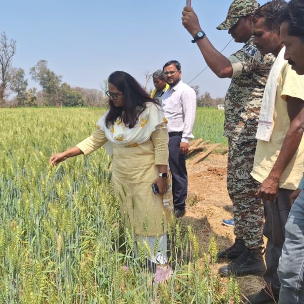 मोहला : कलेक्टर प्रजापति ने मोहला एवं मानपुर विकासखंड का किया भ्रमण, उन्नत कृषि एवं निर्माण कार्यों का किया निरीक्षण…