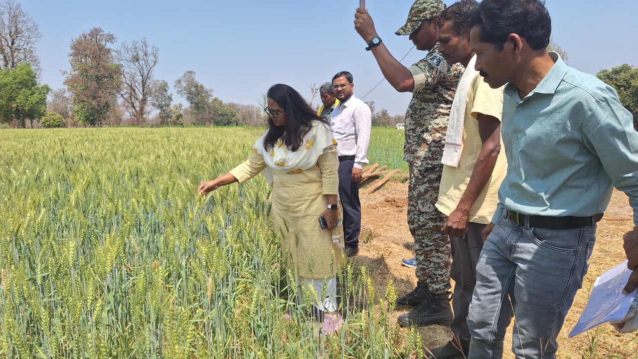 मोहला : कलेक्टर प्रजापति ने मोहला एवं मानपुर विकासखंड का किया भ्रमण, उन्नत कृषि एवं निर्माण कार्यों का किया निरीक्षण…