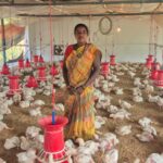   मोहला : कुक्कुट पालन से बदली पुष्पा की जिंदगी, डीएमएफ मद से मिली 5.50 लाख की सहायता…