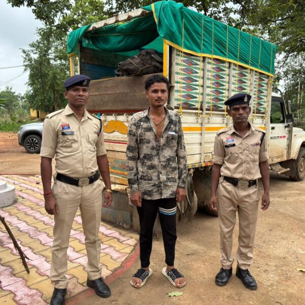 मोहला-मानपुर में मवेशी तस्करी पर बड़ी कार्रवाई, 6 मवेशी मुक्त, ₹7.73 लाख की संपत्ति जब्त…