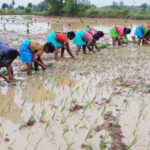 किसानों के लिए मददगार विष्णु देव साय सरकार: रायगढ़ के 33 हजार किसानों को मिली 113.47 करोड़ रुपए की अग्रिम सहायता…