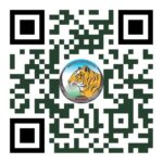 अंतरराष्ट्रीय बाघ दिवस पर होगा ‘रन फॉर इंद्रावती’ मैराथन का आयोजन…