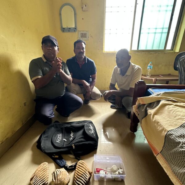 हाथीदांत तस्करी पर वन विभाग की बड़ी कार्रवाई…